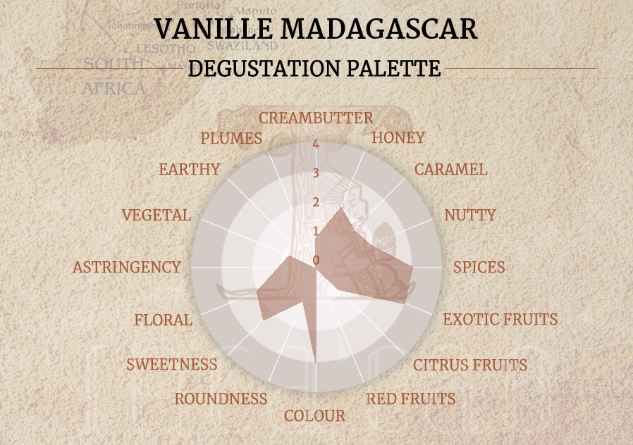 Origine-Vanille-Madagascar 34